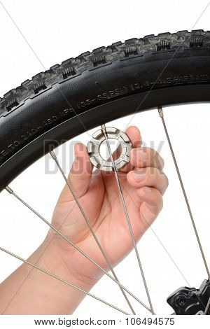 Bike Wheel Truing And Maintenance