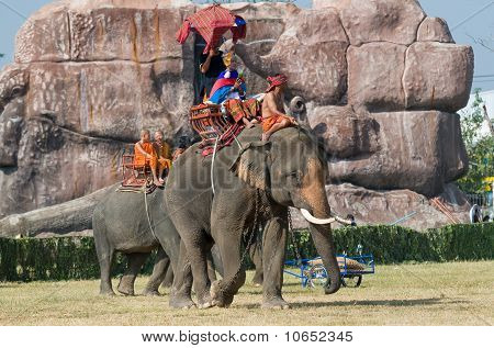 die jährlichen Elefant-Roundup in Surin, thailand