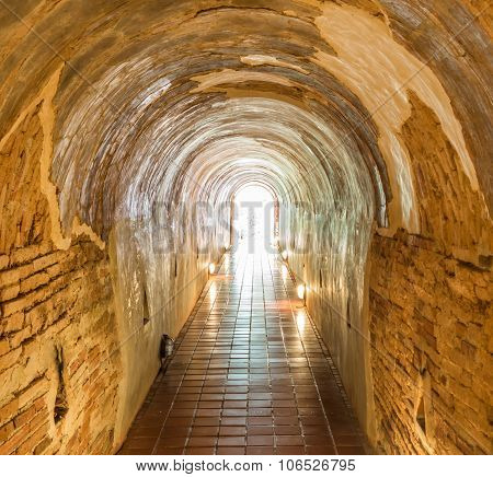 The Old Tunnel Of Wat Umong Suan Puthatham Temple In Chiang Mai, Thailand.