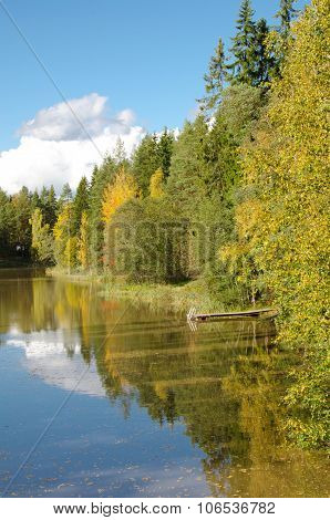 Autumn Colours