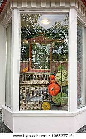 Pumpkin Winter Squash Window Display