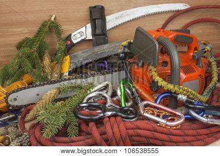 Tools for trimming trees, utility arborists. Chainsaw, rope and carabiners to work lumberjack