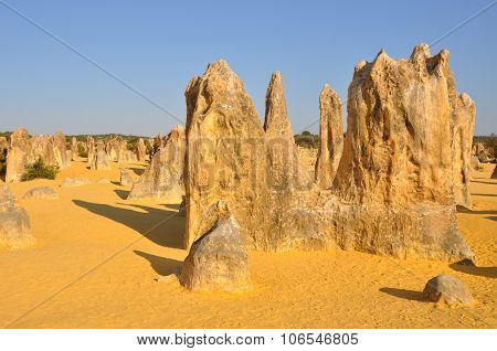 Pinnacles: A Natural Phenomenon