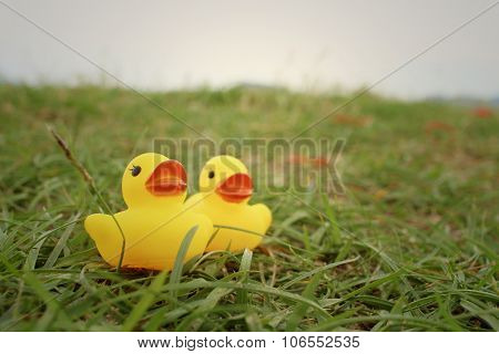Yellow Rubber Duck On Greengrass Background.