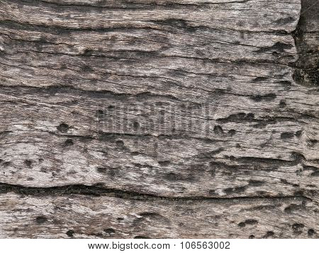 Old wood
