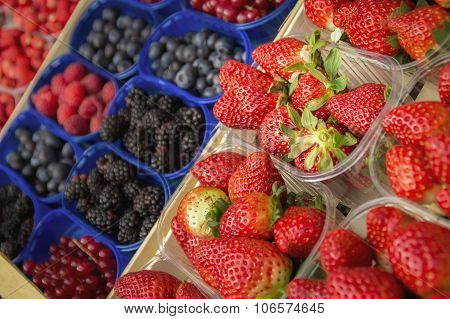 Artistic Selective Focus Dark Edit Strawberries And Other Berries