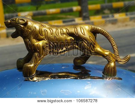 Gold Metal Tiger on Silver Surface