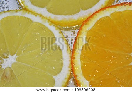 CITRUS