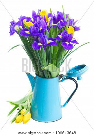 spring tulips and irises