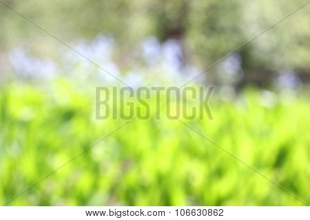 Abstract Nature Background