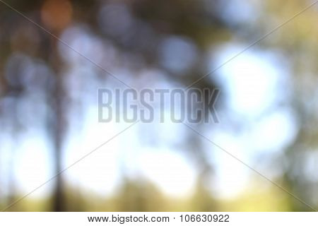 Abstract Nature Background