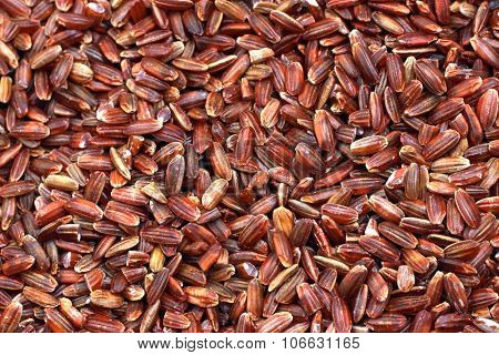 Brown Rice