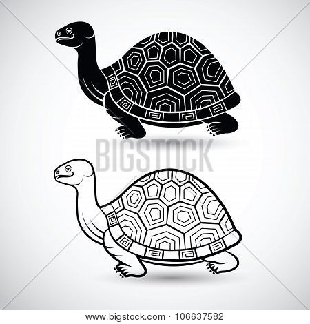 Chinese Turtle