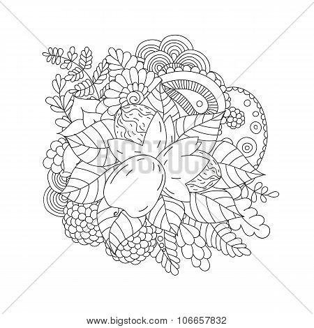 Walnut isolated. Black and white doodle pattern