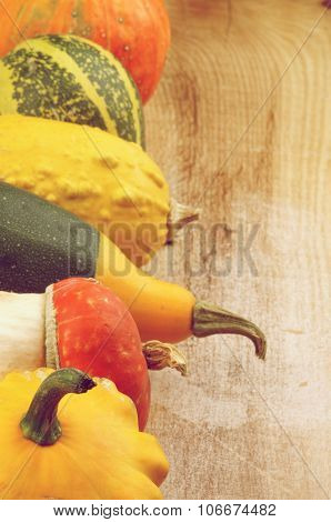 Frame Of Squash