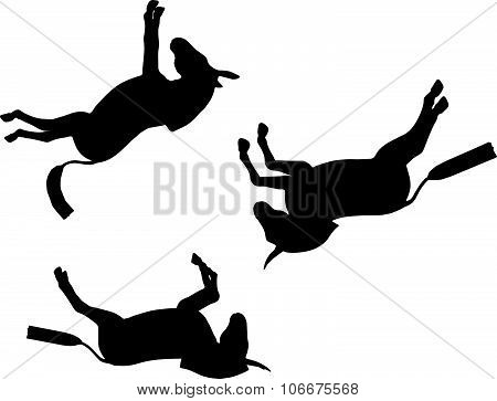 Donkey Silhouette
