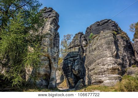 Tisa Walls