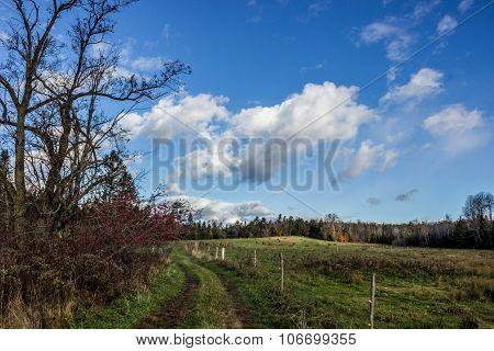 Pasture Fenceline