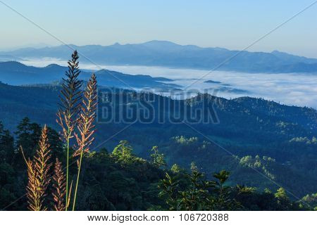 Misty morning sunrise in mountain in Wiang Haeng ,Chiang Mai , Thailand.