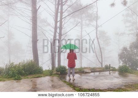 Woman Wear Red Coat Opened Green Umbrella Turn Back With Fog