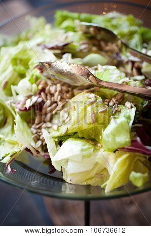 Green salad with lettuce and sunflower seed