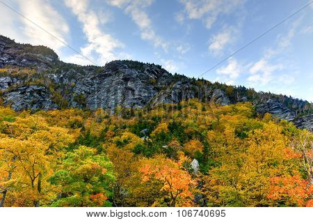 Fall Foliage Vermont