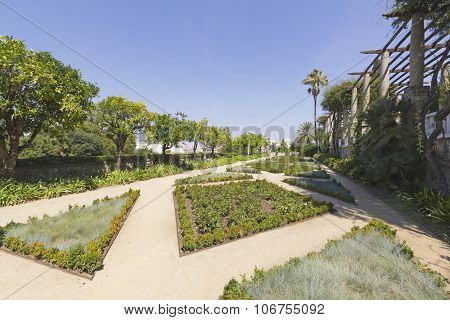 Teatre Grec Garden, Barcelona