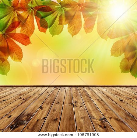 Autumn leaves of chestnut tree (Aesculus hippocastanum) with wooden board
