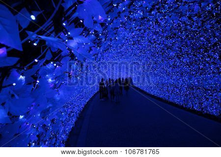 Japan Illumination