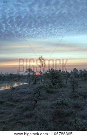 Kemeri National Park