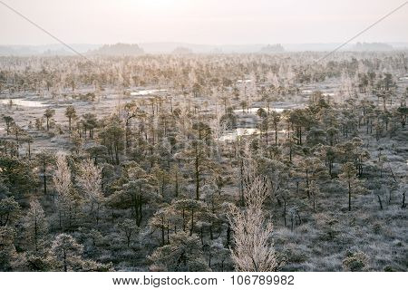 Kemeri National Park