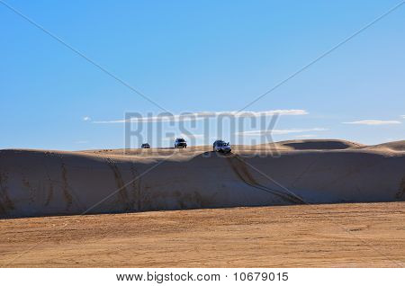Car safari in the Sahara