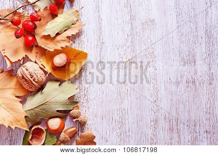 Autumn Background