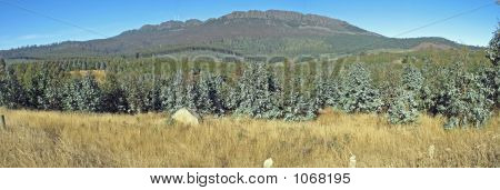  Tasmanian Mountain
