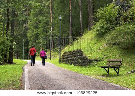 Trekking path in the Dolomites, Italy, Europe