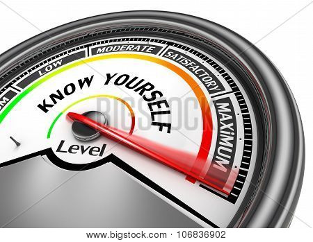 Know Yourself  Level To Maximum Conceptual Meter