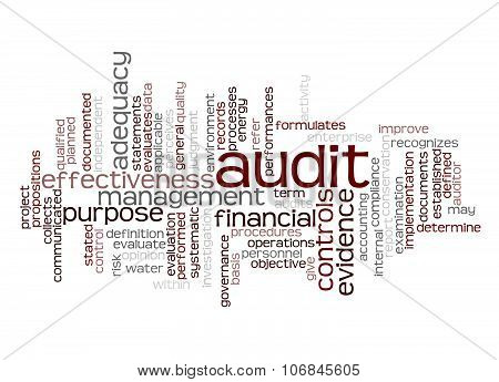Word Cloud Of Audit And Its Related Words