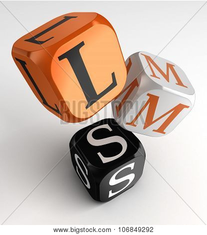 Lms Learning Management System Acronym Orange Black Dice Blocks