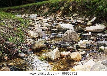 Babbling Brook