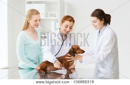 medicine, pet, animal, health care and people concept - happy woman and veterinarian doctor with stethoscope checking up dachshund dog health at vet clinic
