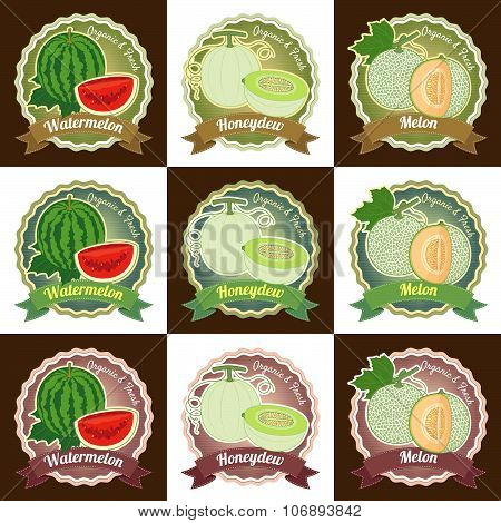 Set Of Various Fresh Melon Fruit Premium Quality Tag Label Badge Sticker And Logo Design