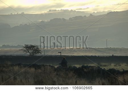 An Early misty scene in Northumberland