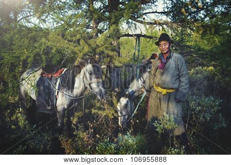 Mongolian Tsataan Horses Tranquil Solitude Nomadic Concept