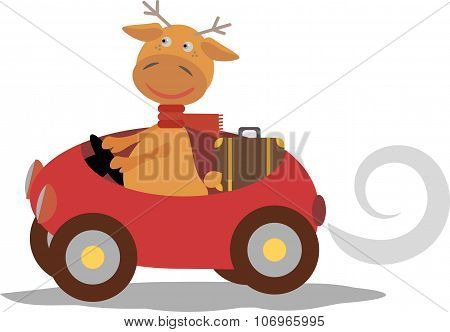 Cute deer with scarf on car