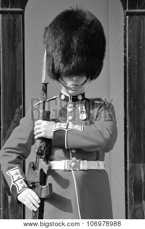 Queen's Guard