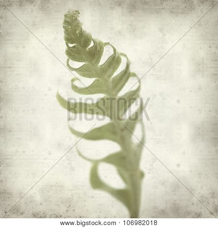 Textured Old Paper Background