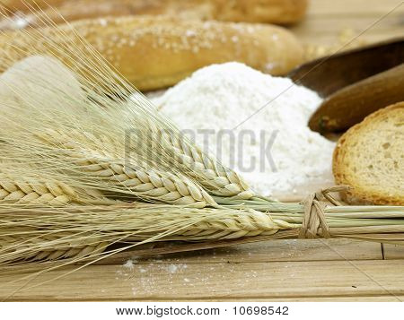 ข้าวสาลีและแป้ง