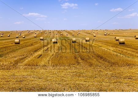 haystacks straw . summer