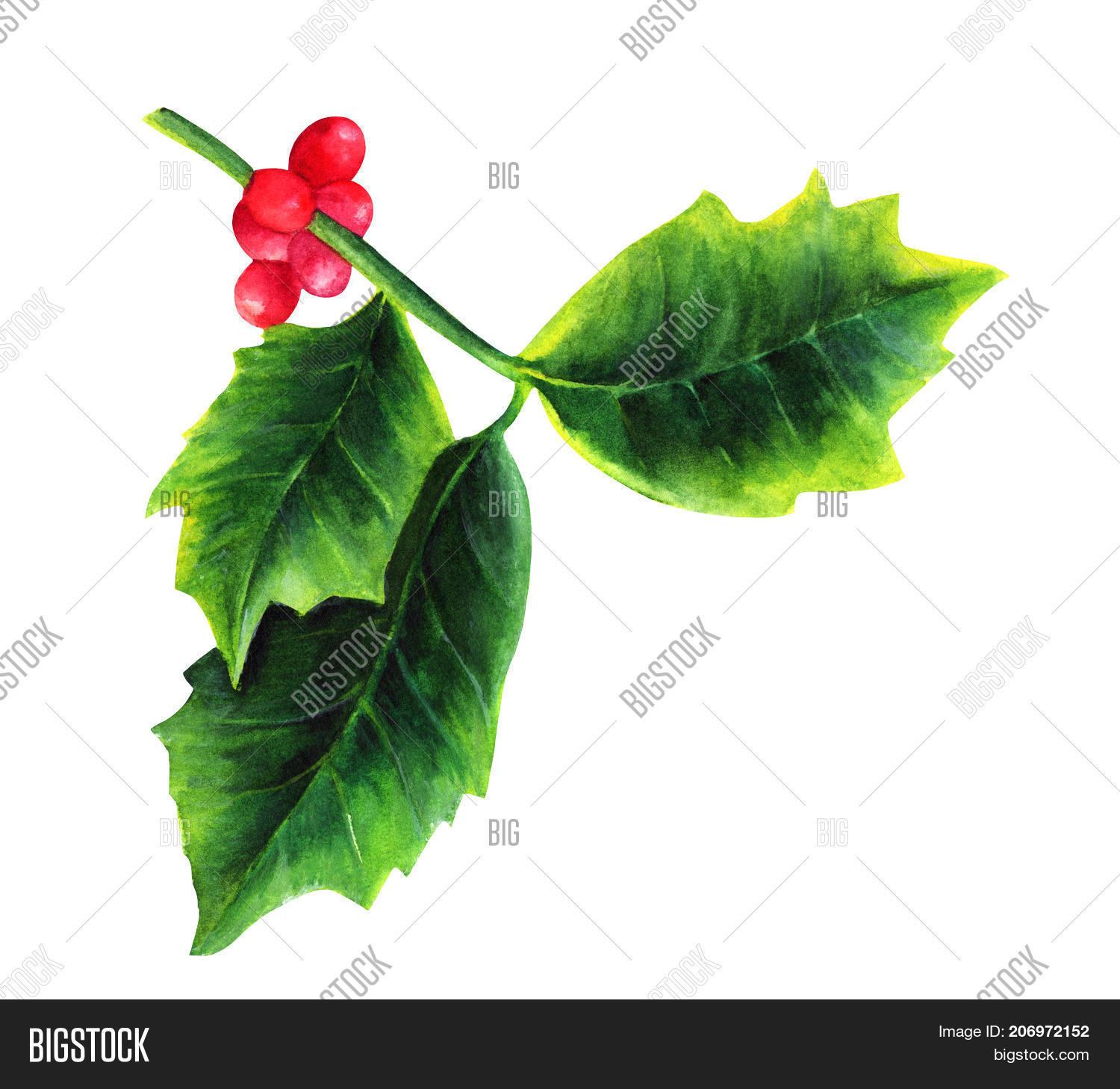watercolor drawing image photo free trial bigstock
