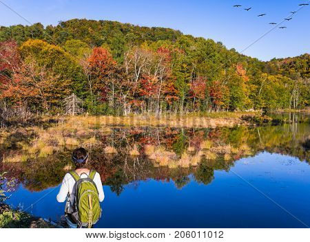 Woman -  tourist with a green backpack on her shoulders - admires the beautiful lake. Flock of migratory birds flies over the lake. Concept of ecological and active tourism